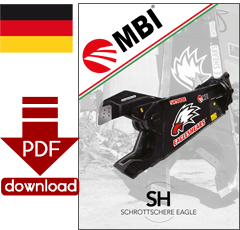 PDF-Download