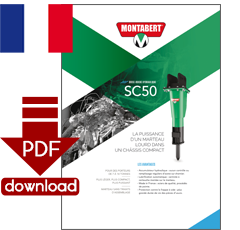 PDF-Download
