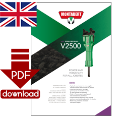 PDF-Download