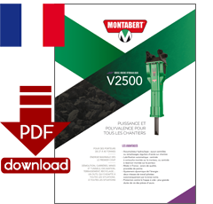 PDF-Download