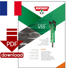 PDF-Download
