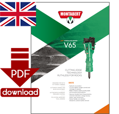 PDF-Download