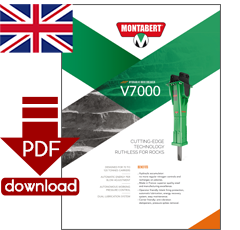PDF-Download