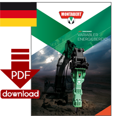 PDF-Download