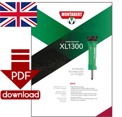 PDF-Download