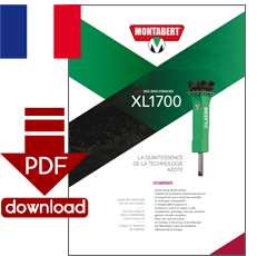 PDF-Download